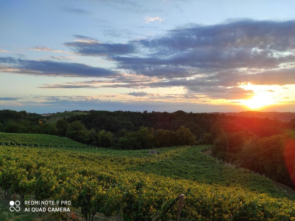 Oasi Del Monferrato - Appartamento Rosso Mombercelli Ngoại thất bức ảnh
